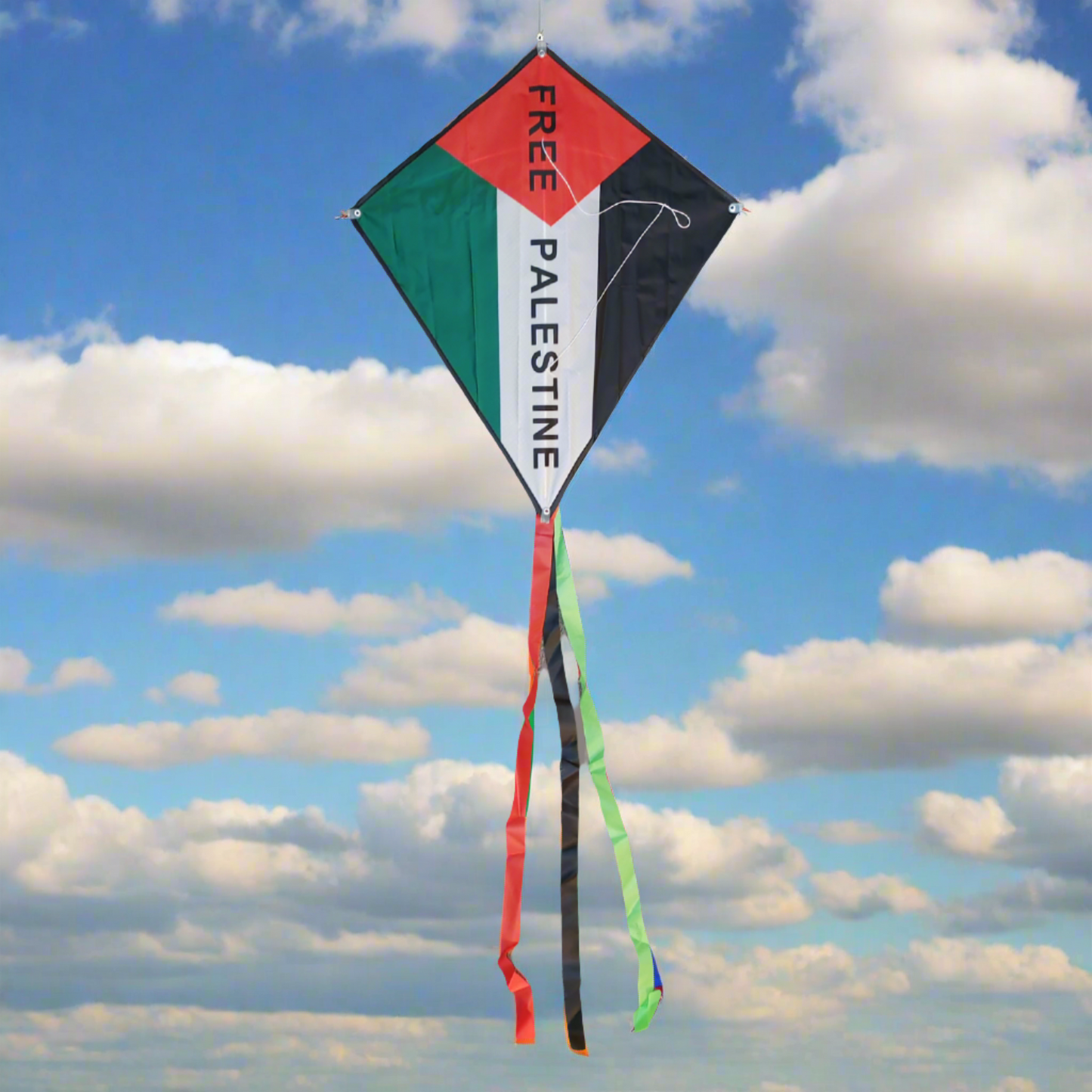 Free Palestine Kite in the Sky