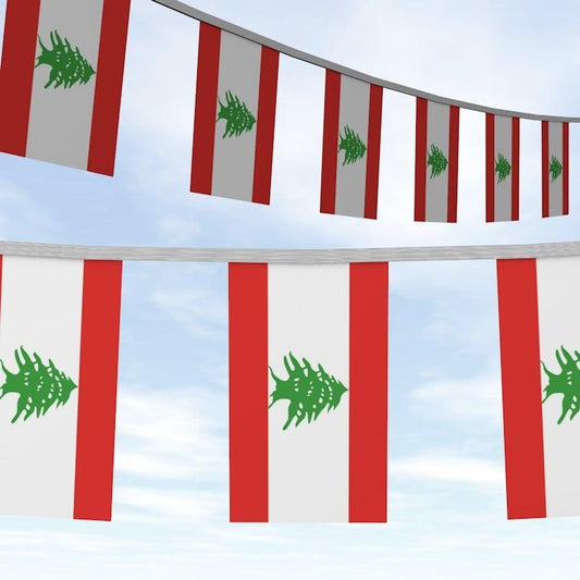 Lebanon Flag Buntings - Kites 4 Palestine