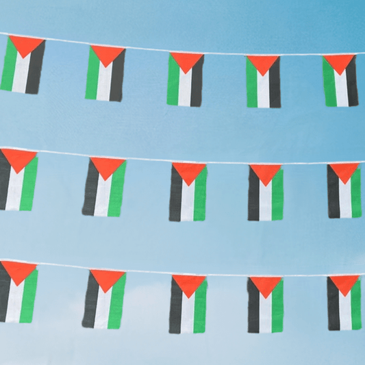 Palestine Flag Buntings - Kites 4 Palestine