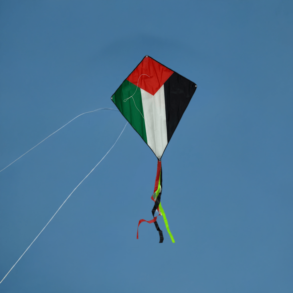 Palestine Kite - 10 Pack Bundle (Perfect for Kite Events) - Kites 4 Palestine