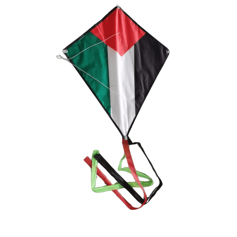 Palestine Kite - 10 Pack Bundle (Perfect for Kite Events) - Kites 4 Palestine